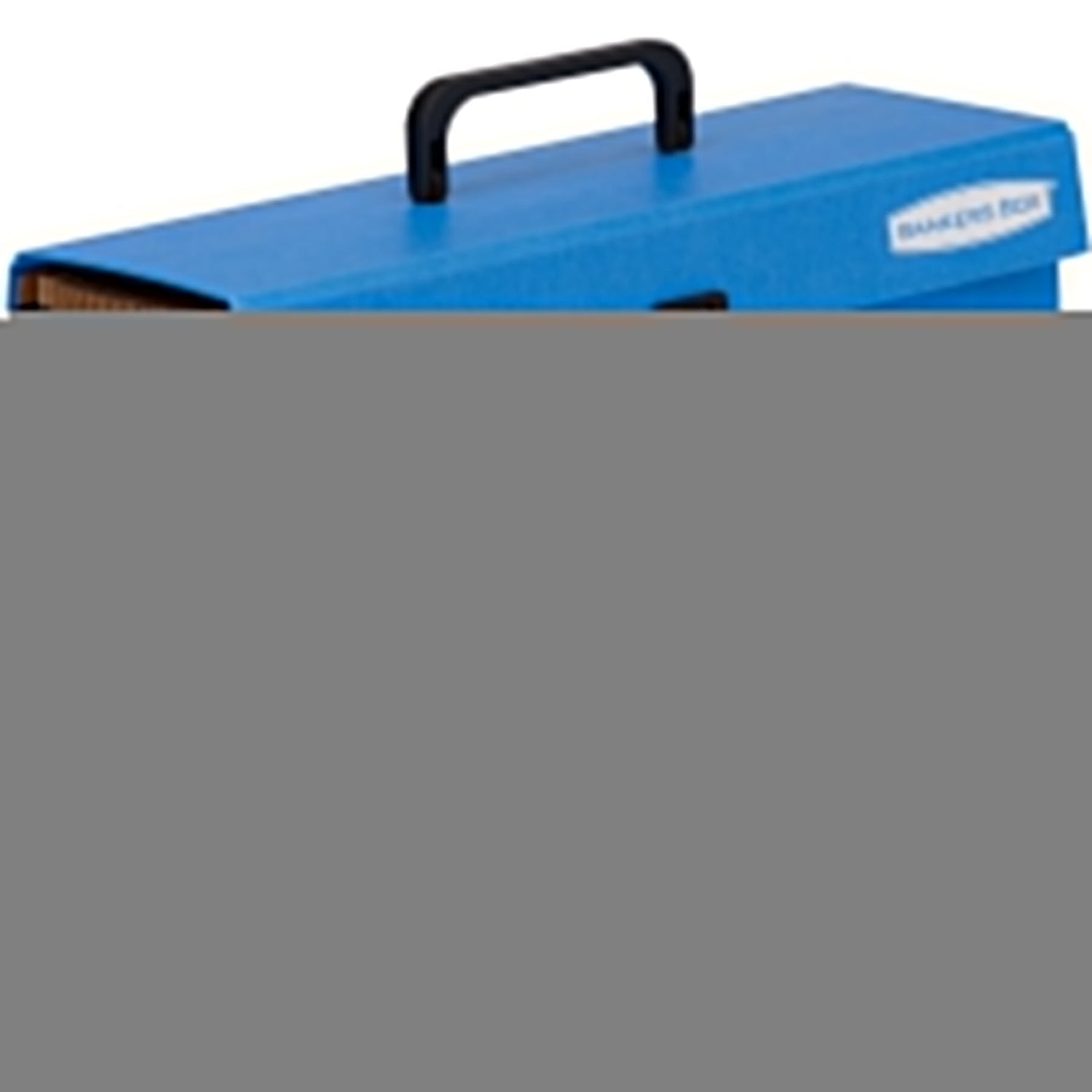 Fellowes 9352201 Archivador Organizador Papel Azul