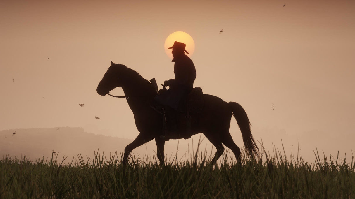 EAN 5026555359023 - Rockstar Games Red Dead Redemption 2 Estándar Xbox One imagen 28