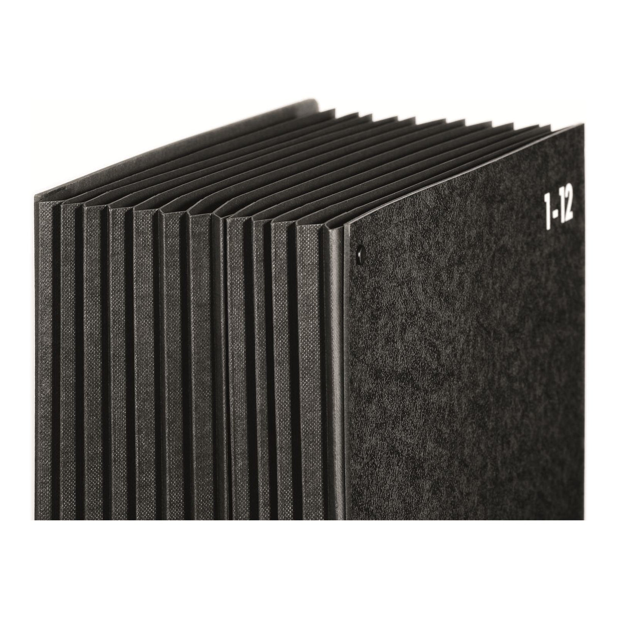 Pagna 24121-04 Carpeta A4 Cartón Duro, Polipropileno (Pp) Negro