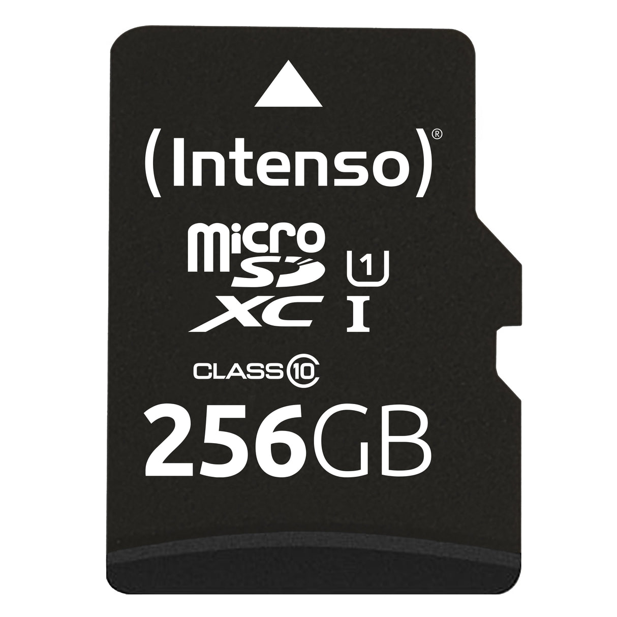 EAN 4034303031719 - Intenso microSD 256GB UHS-I Perf CL10| Performance Clase 10 imagen 1