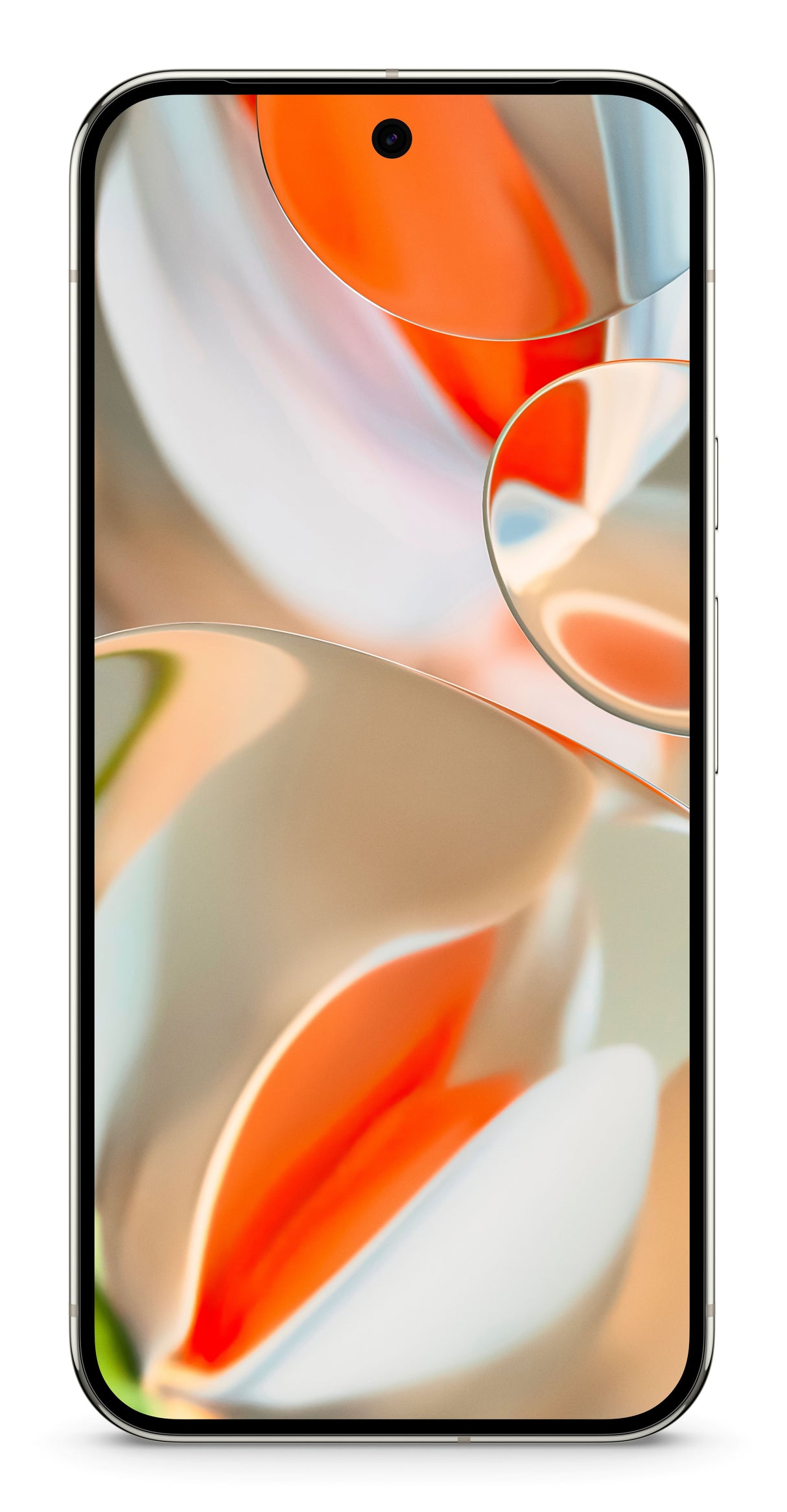 EAN 0840353914513 - Google Pixel 9 Pro XL 17,3 cm (6.8") SIM doble Android 14 5G USB Tipo C 16 GB 256 GB 5060 mAh Blanco imagen 1