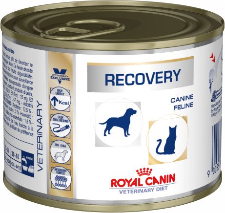 Royal Canin Vet Recovery Canine Alimento Húmedo Para Felinos - 195 G