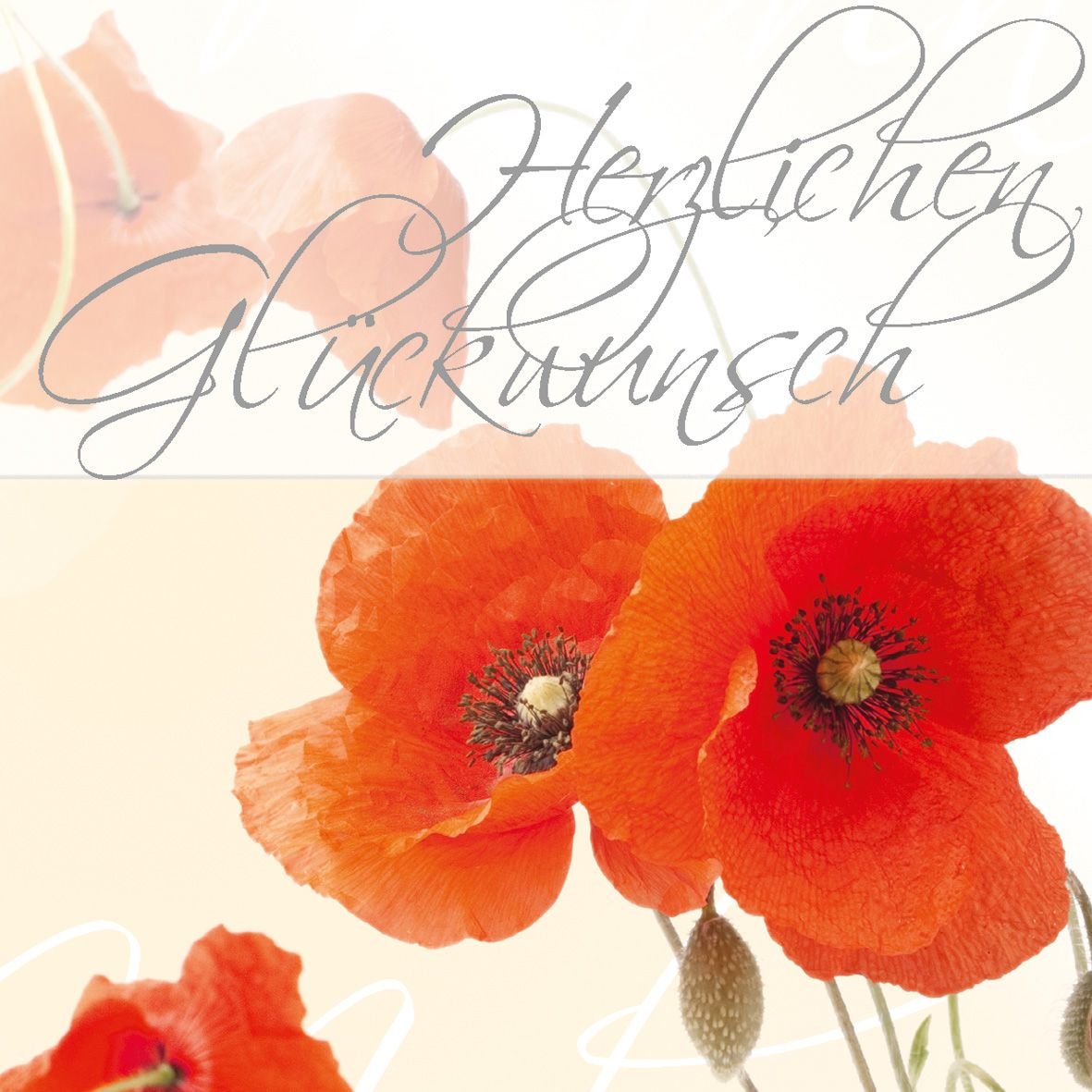 Sigel Glückwunschkarten Rojo Poppies Din A6 - Material De Oficina