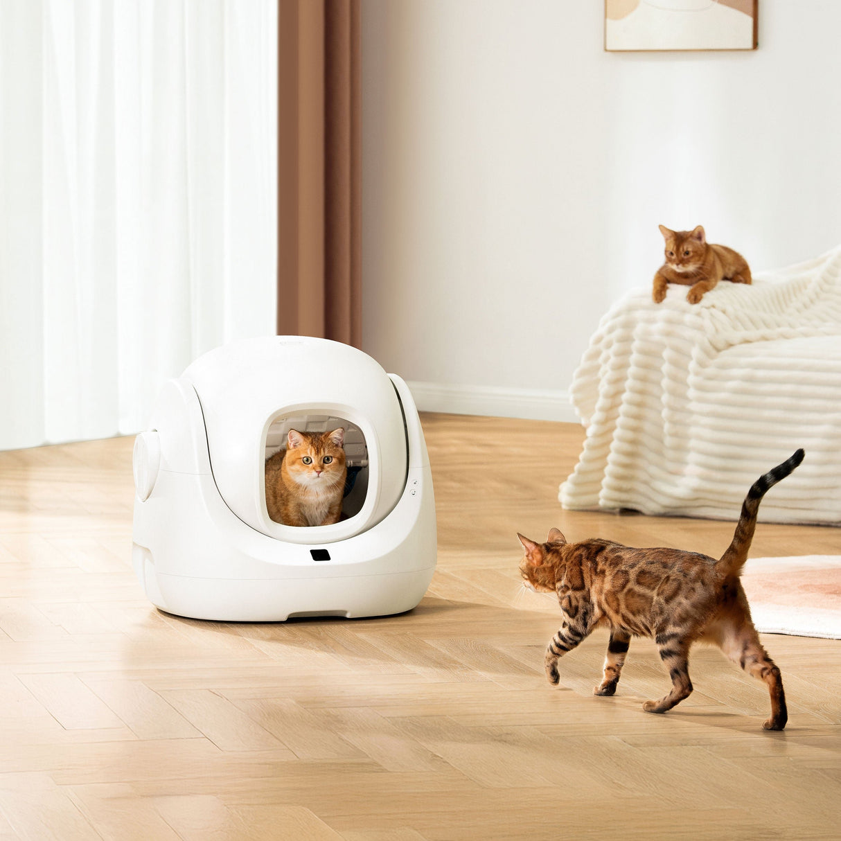 EAN 6972884750842 - Petoneer CL96961 bandeja higiénica para perro y gato Caja de arena con cubierta Blanco imagen 13