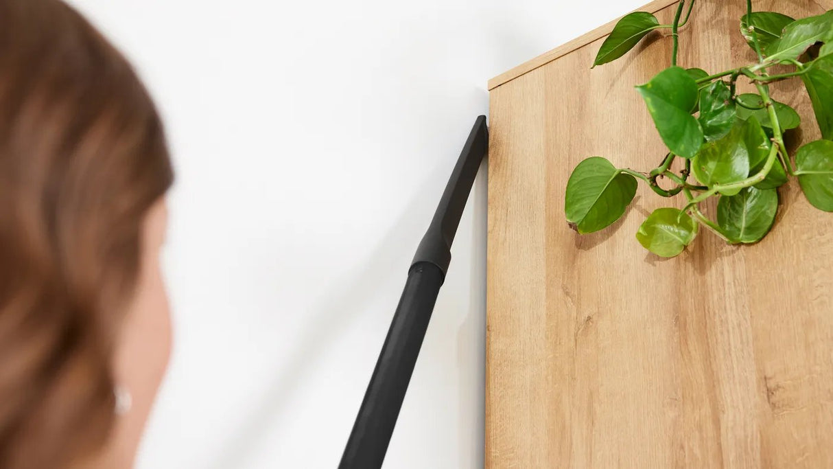 Aspiradora Bosch Workowy Bgb41pet1 Proanimal