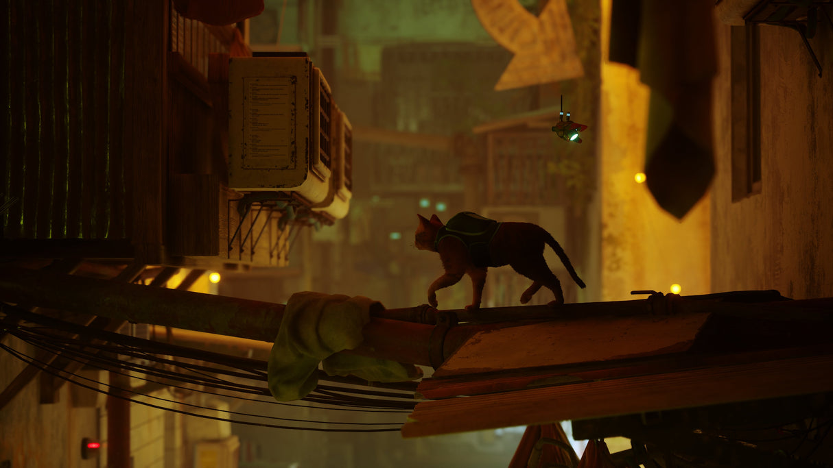 EAN 0811949035196 - Skybound Games Stray Estándar Italiano PlayStation 5 imagen 21