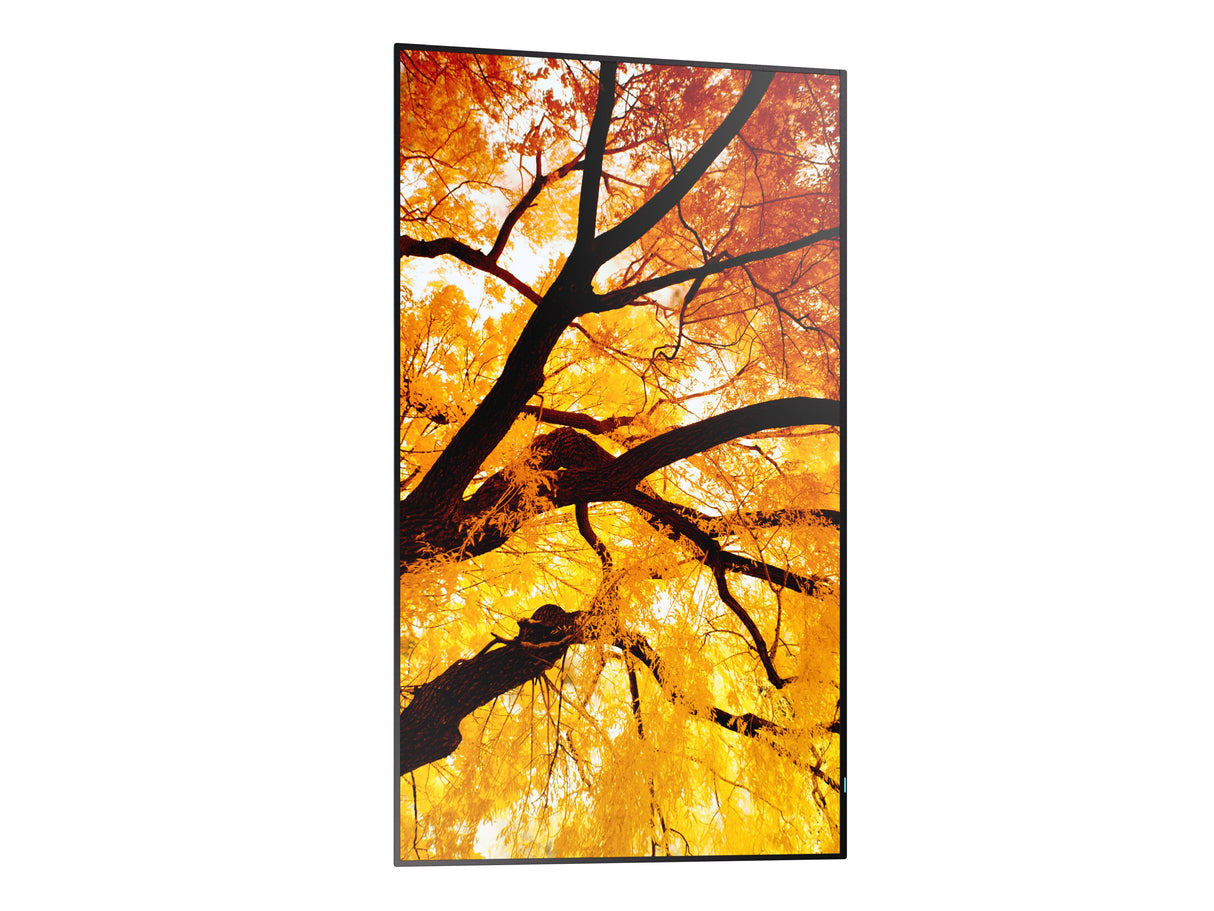 EAN 4550556131018 - Sharp MultiSync M432 Pantalla plana para señalización digital 108 cm (42.5") LCD 550 cd / m² 4K Ultra HD imagen 4