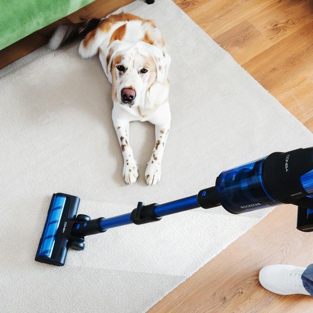 Cecotec Conga Rockstar 8500 Infinity Ergowet Animal T