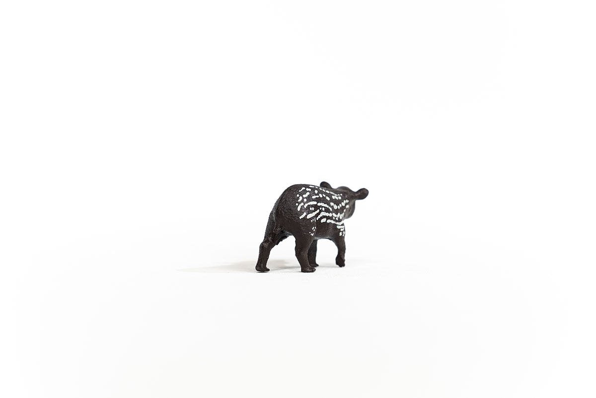 Schleich Cachorro De Tapir Vida Salvaje 14851