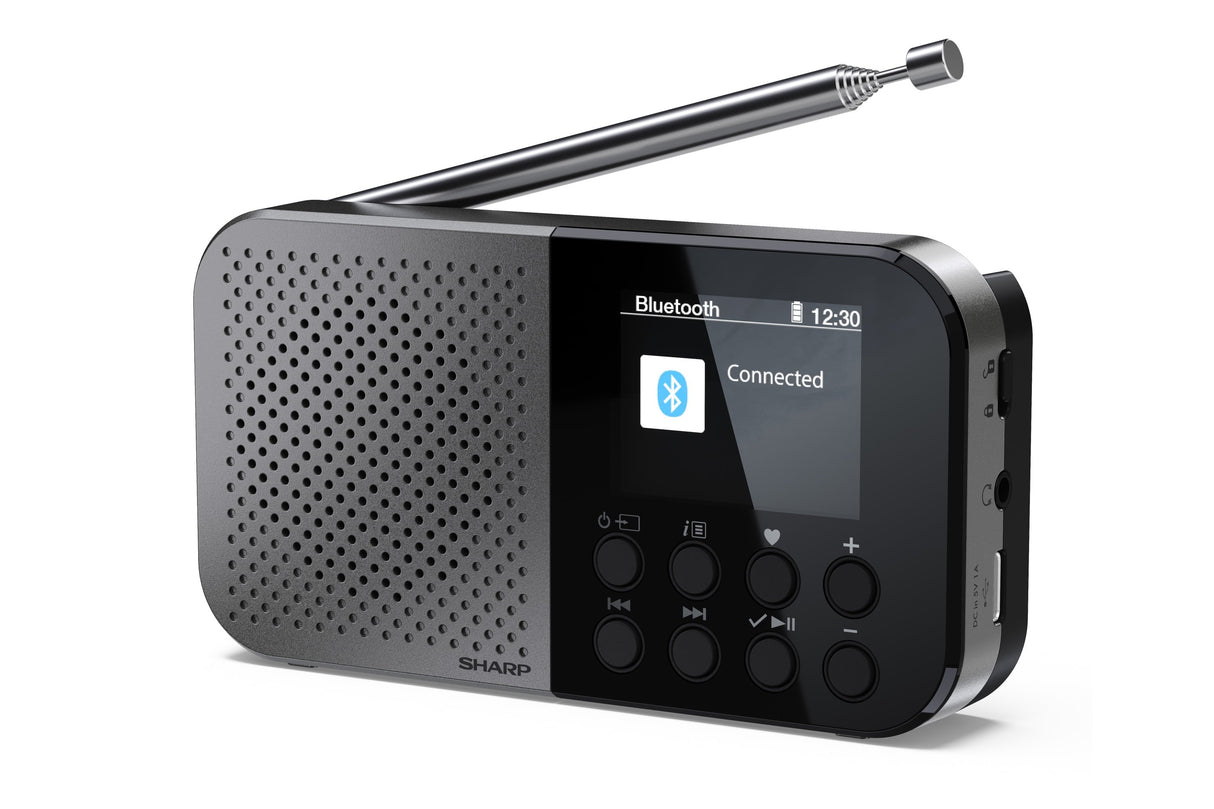 EAN 4974019204451 - Sharp DR-P520 Personal Digital Gris imagen 2
