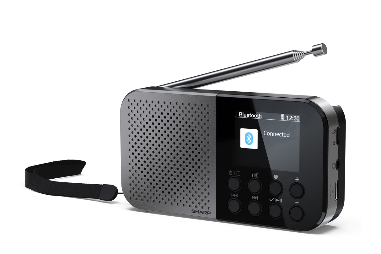 EAN 4974019204451 - Sharp DR-P520 Personal Digital Gris imagen 1