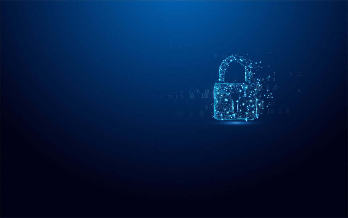 EAN 0740617338836 - Kingston Technology IronKey Vault Privacy 50 unidad flash USB USB tipo A 3.2 Gen 1 (3.1 Gen 1) Negro, Azu imagen 5