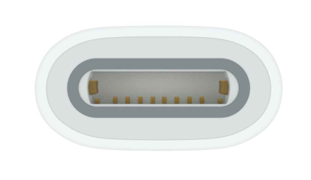 EAN 0195949442148 - Apple USB-C to Pencil Adapter Blanco 1 pieza(s) imagen 3