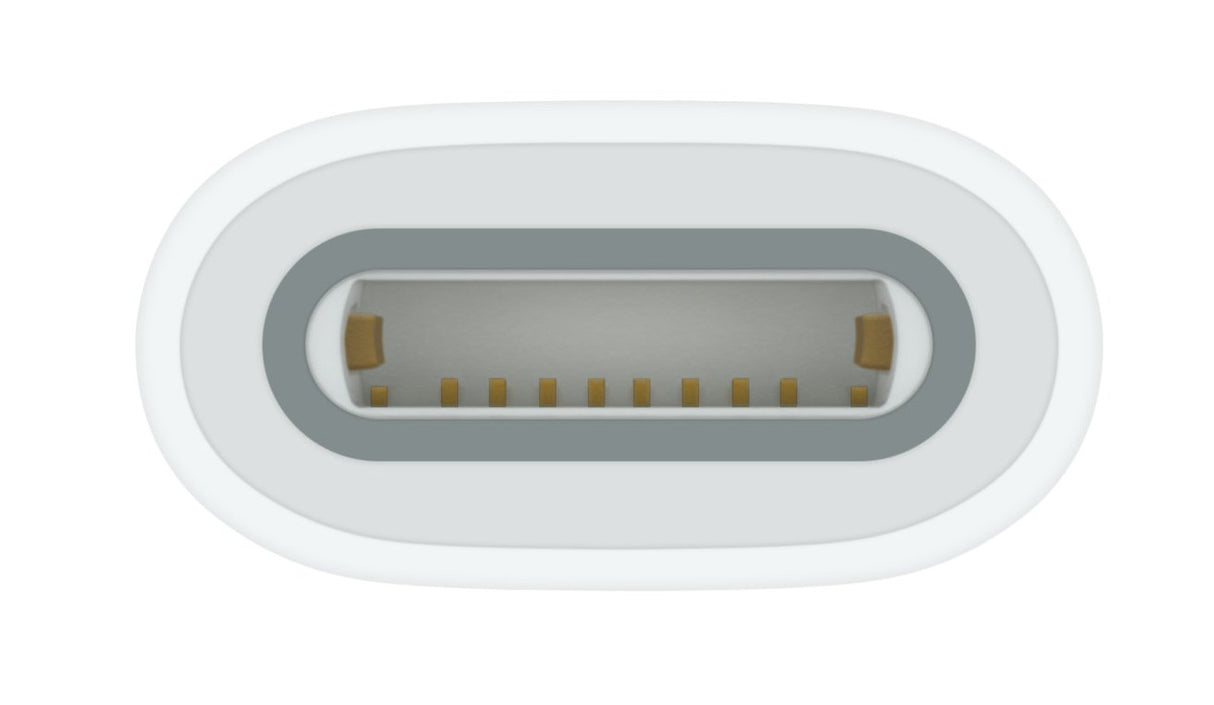 EAN 0195949442148 - Apple USB-C to Pencil Adapter Blanco 1 pieza(s) imagen 3