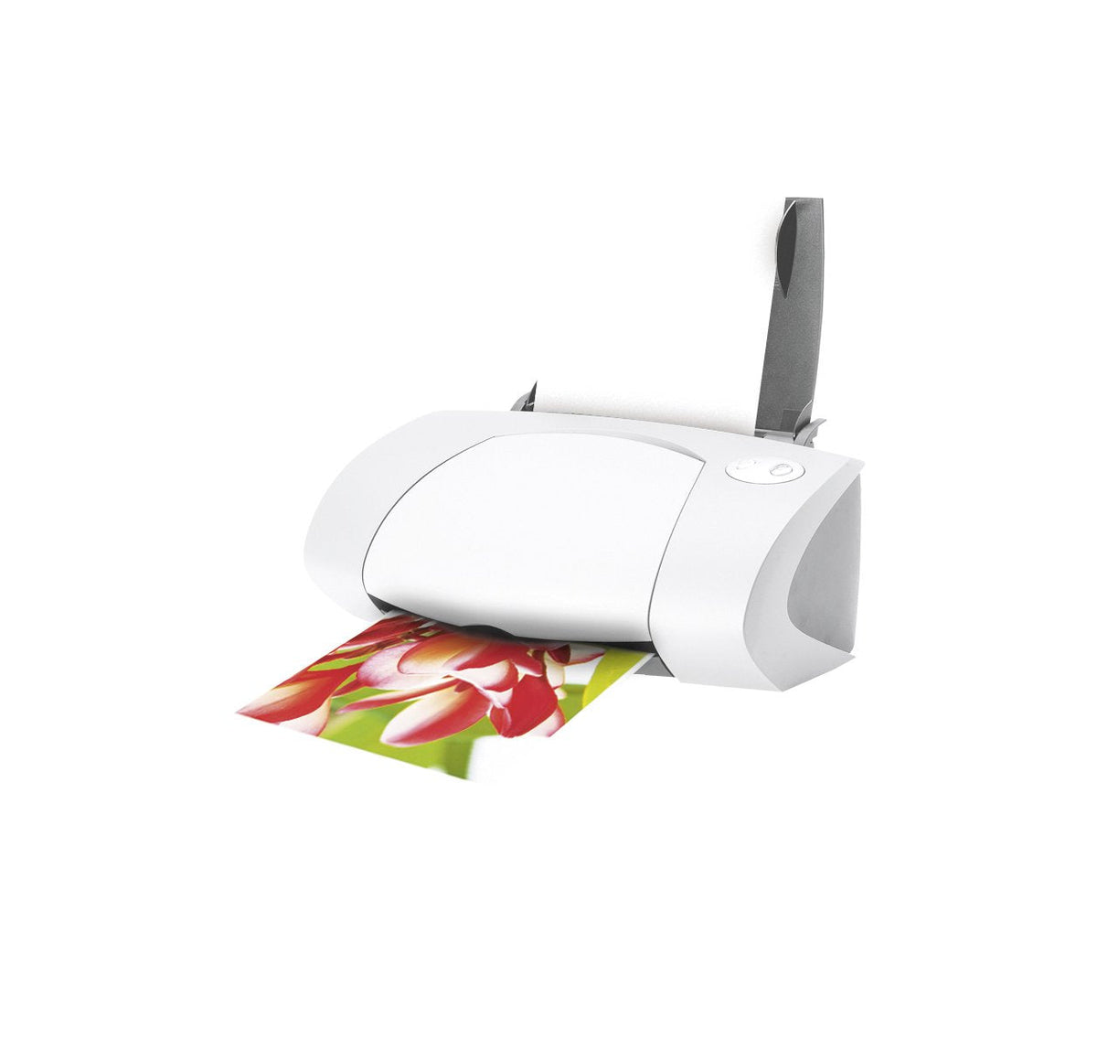 Avery Zwckform Papel Fotográfico Premium De Alto Brillo 250 G A4