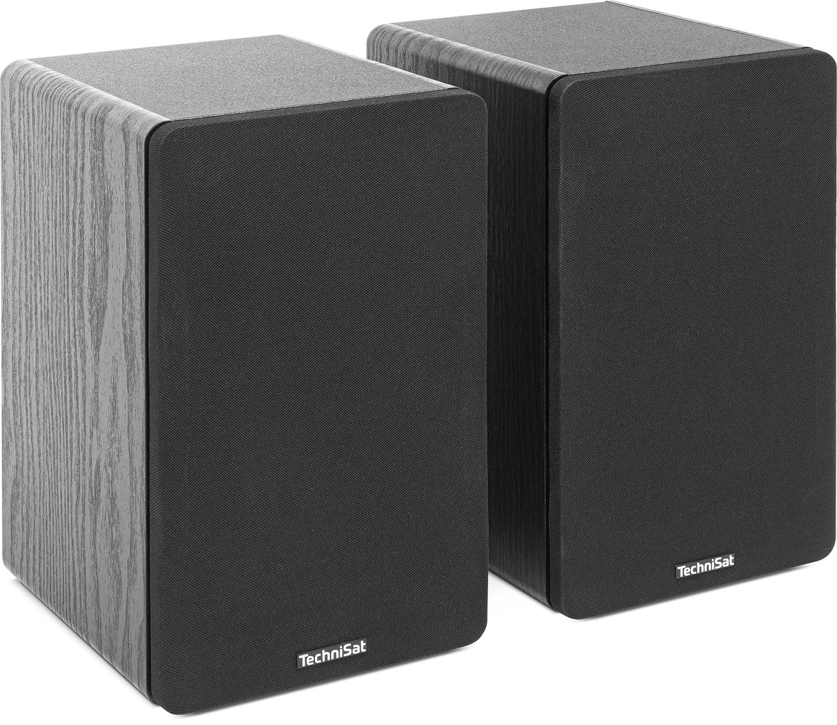 Technisat Audiomaster Rls 1