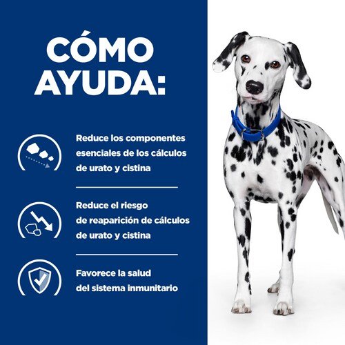 EAN 0052742046846 - Hills 606270 alimento húmedo para perros Ternera Universal 4 kg imagen 3