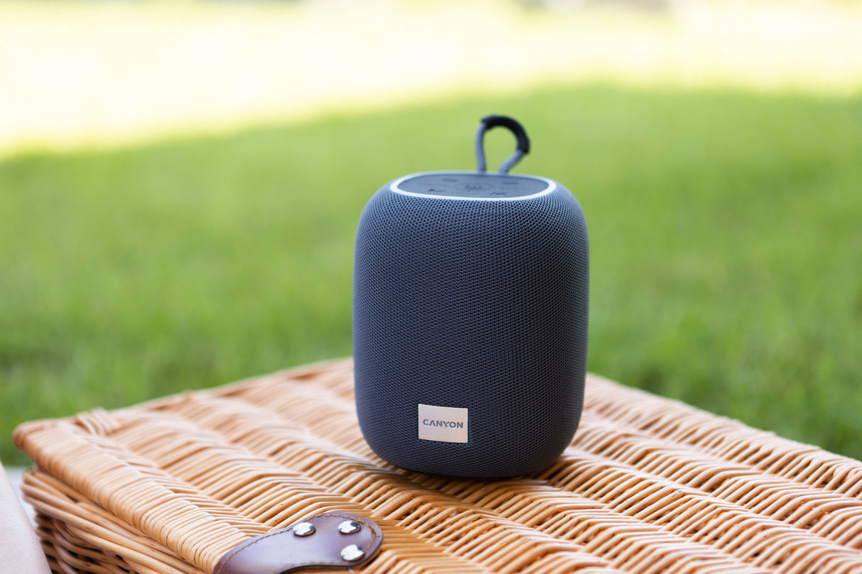 Canyon Bluetooth Speaker Bsp-8 Tf Reader Usb-C 10w Gris Retail