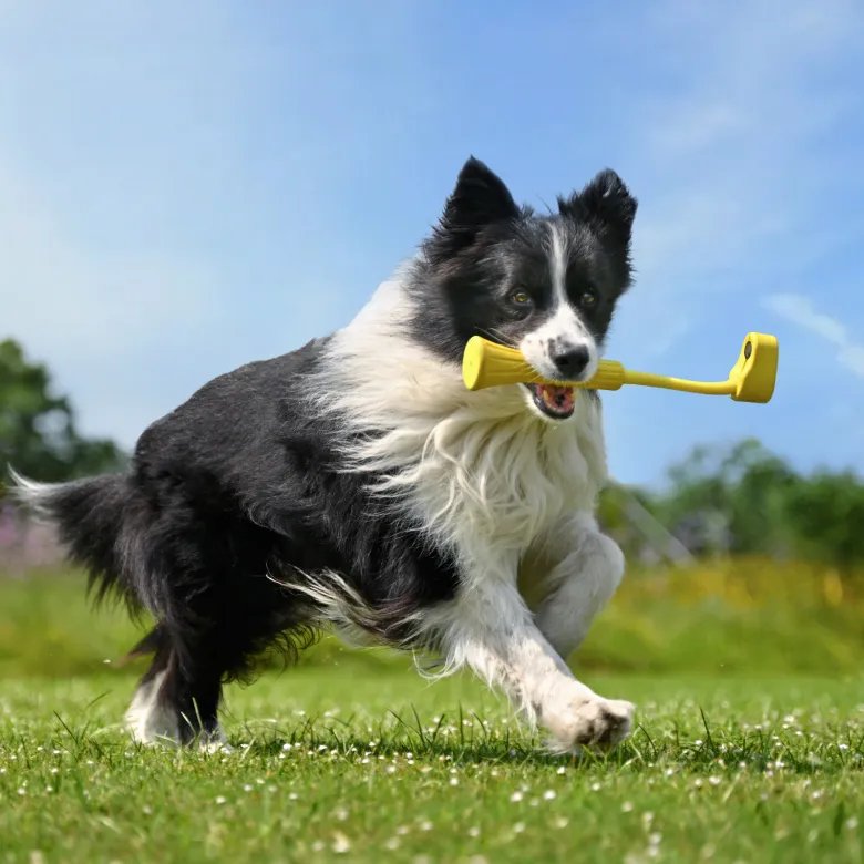 Insta360 Go 3 Fetch Stick