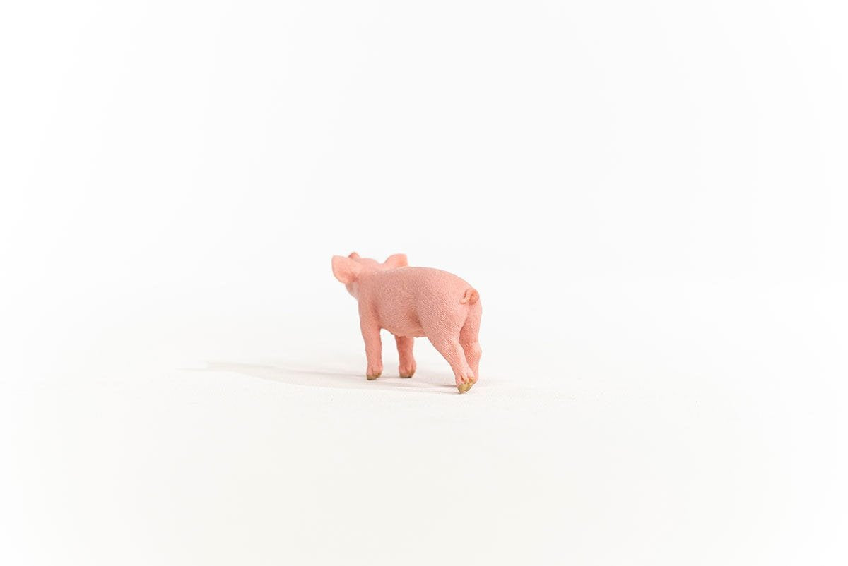 EAN 4059433358628 - schleich FARM WORLD 13934 figura de juguete para niños imagen 3