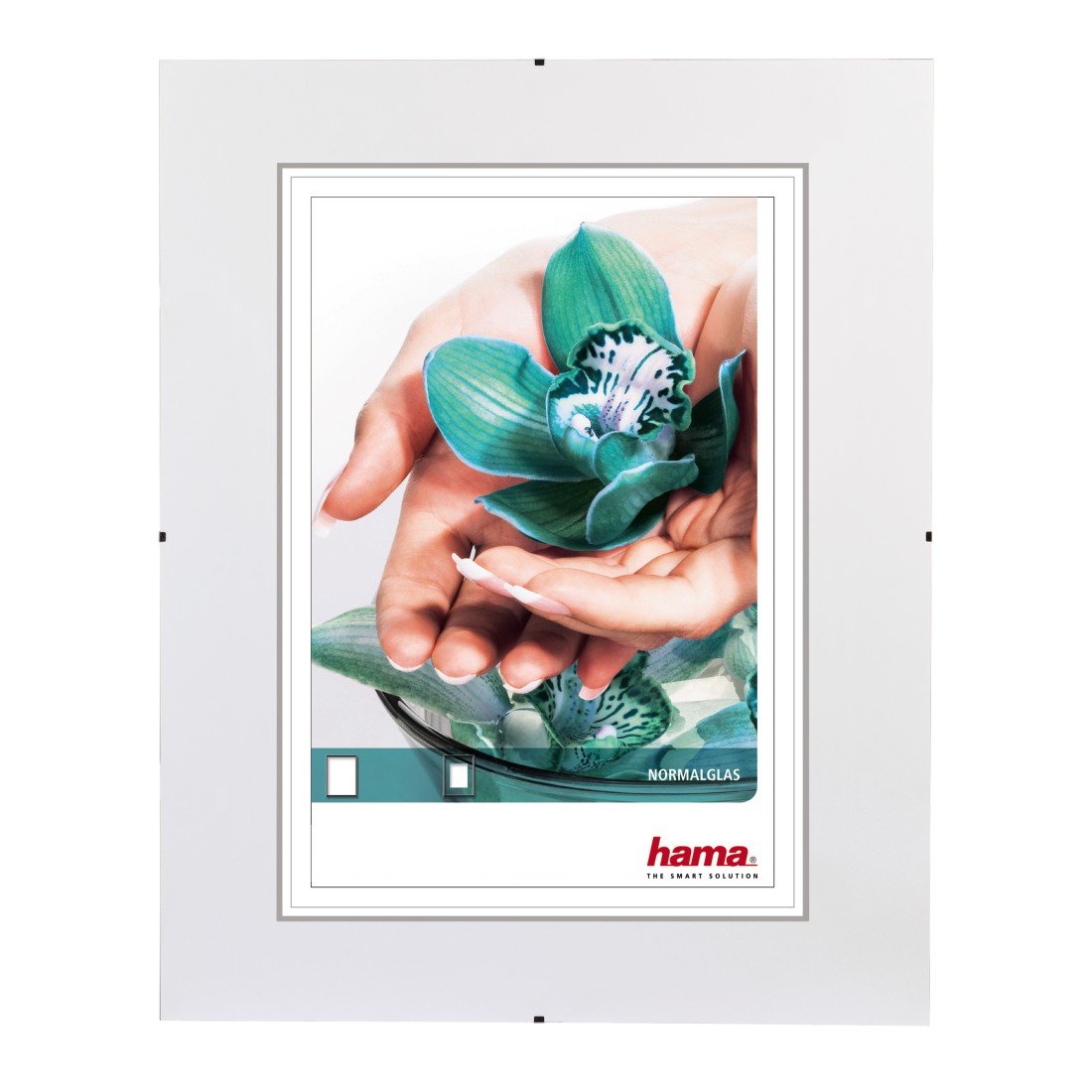 EAN 4007249630100 - Hama Clip-Fix Expositor de pie retroiluminado Transparente imagen 1
