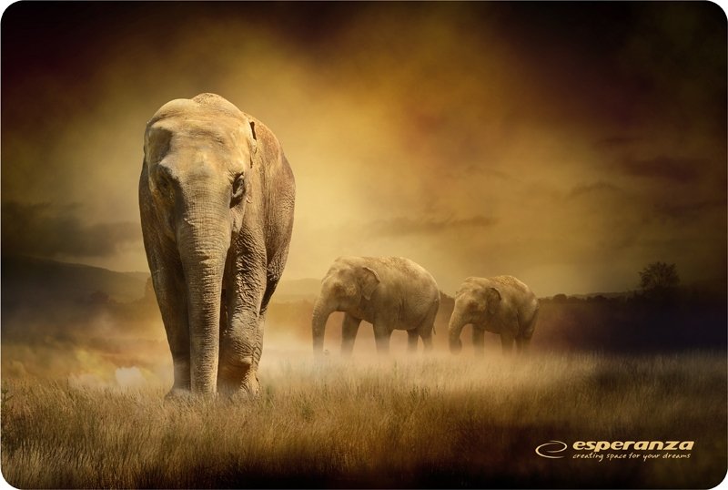 EAN 5901299901984 - Esperanza EA133 alfombrilla para ratón Multicolor imagen 9