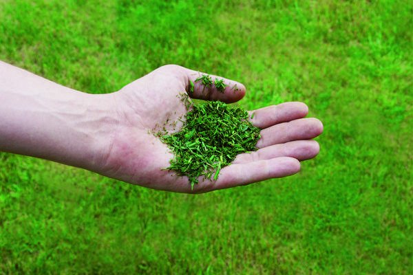 Cortacésped Inalámbrico Einhell Ge-Cm 36/43 Li M-Solo, 36v (2x18v) (Rojo/Negro, Sin Batería Ni Cargador)