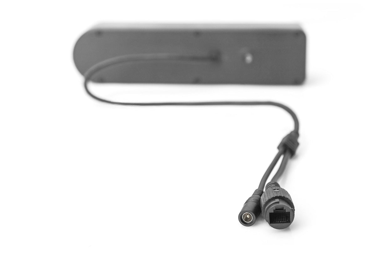 Digitus Cámara Exterior Full Hd Inteligente Con Foco Reflector Led, Wifi Y Control Por Voz