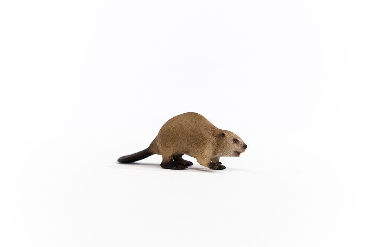 EAN 4059433364582 - schleich Vida Salvaje 14855 figura de juguete para niños imagen 4