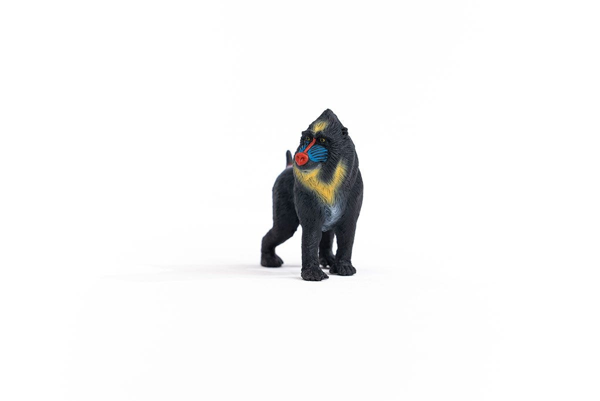 EAN 4059433455457 - schleich Vida Salvaje 14856 figura de juguete para niños imagen 5