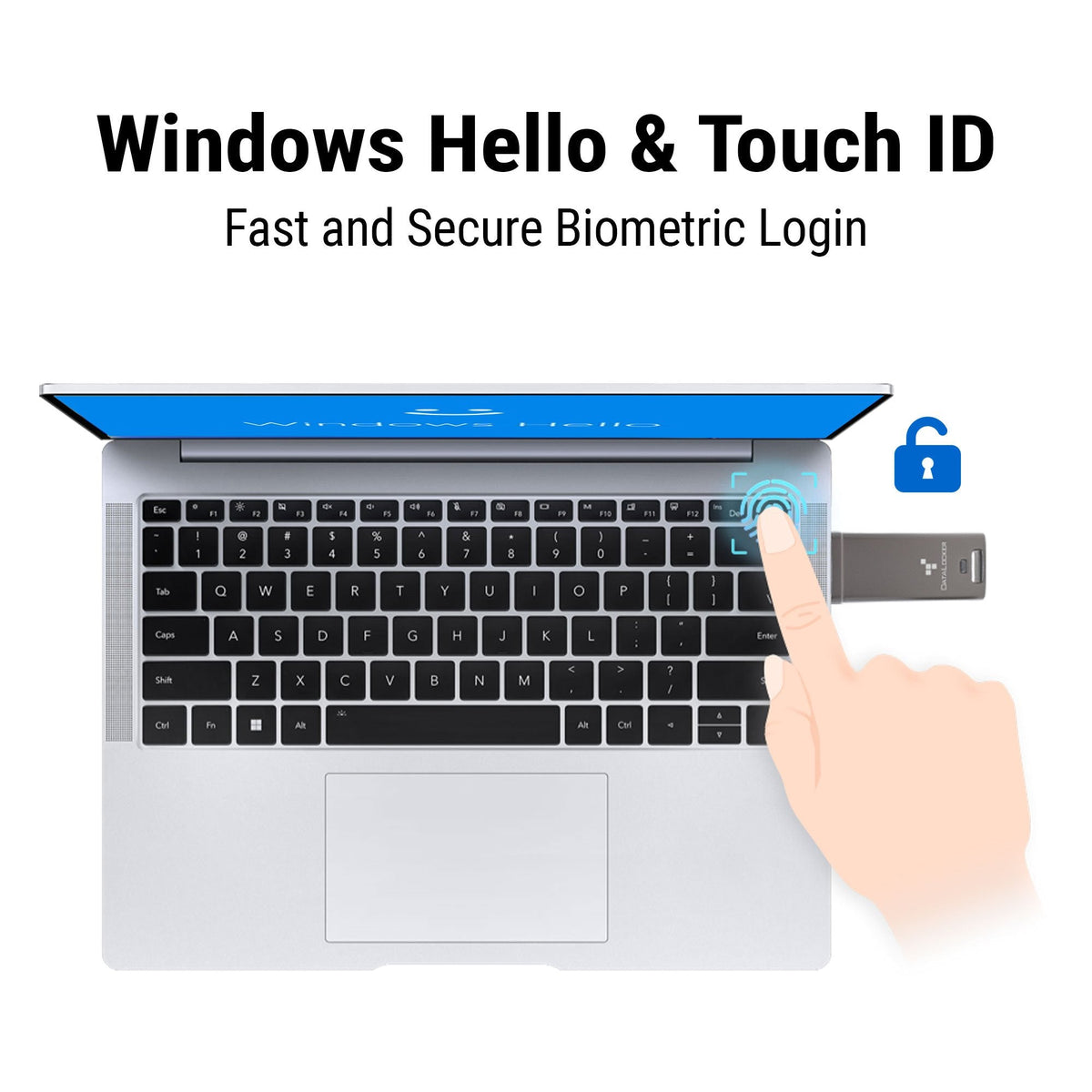 Datalocker Dl Go 256bit - Flash-Memoria - Sin Clasificar Dlgo-004 - Flash-Memoria - Sin Clasificar