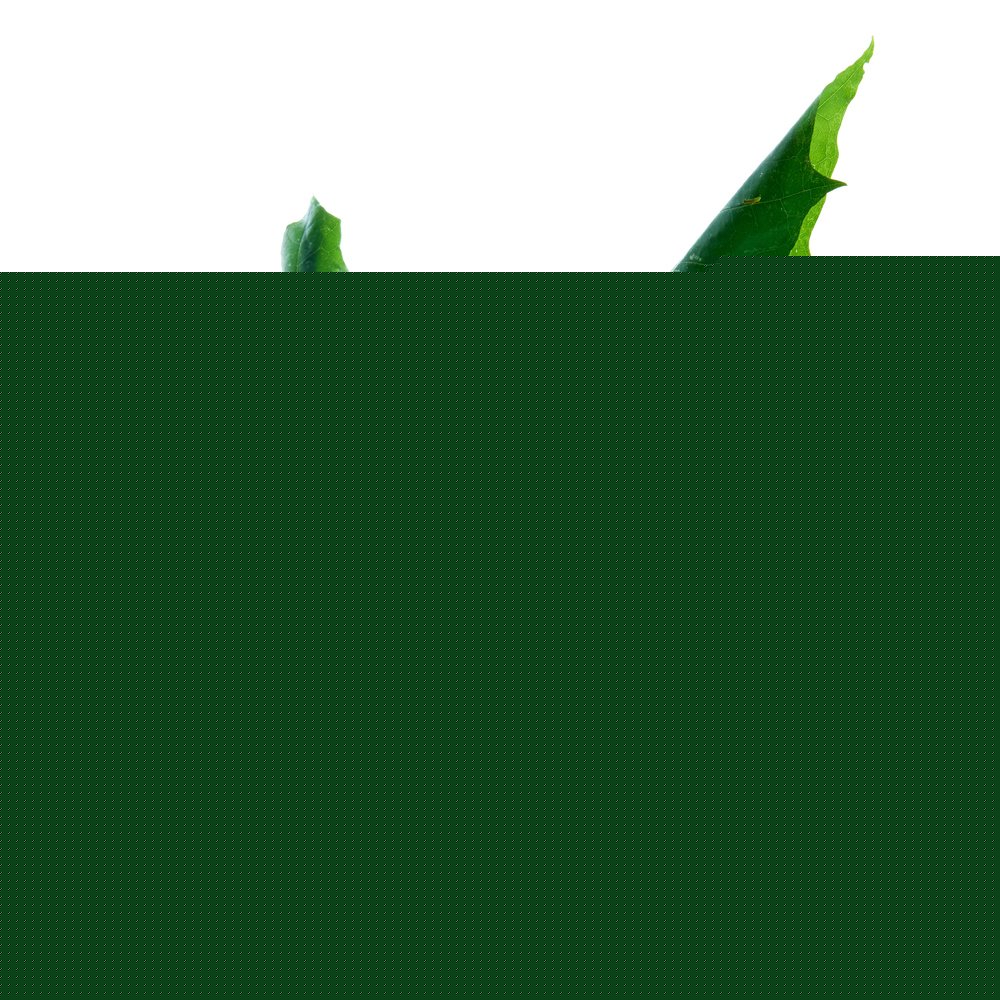 Haba Terra Terra Conectores De Conductores De Conductores De Conducción, Juguete De Construcción 1305341001