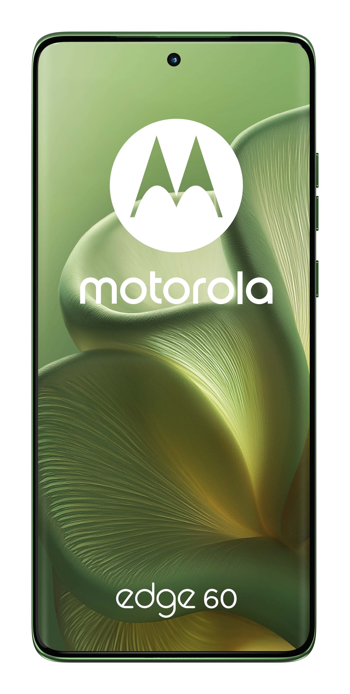Motorola Edge 60 5g 256gb Verde