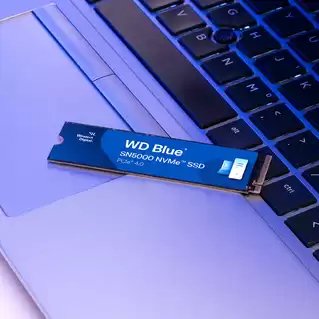 EAN 0718037893228 - Western Digital WDS200T4B0E unidad de estado sólido 2 TB M.2 PCI Express 4.0 NVMe imagen 4
