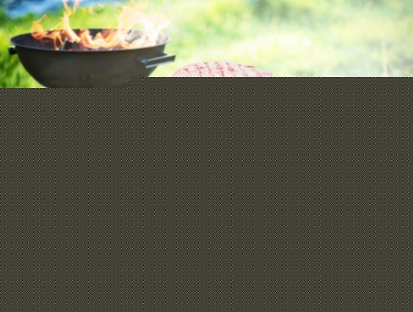 Gefu Bbq Prensador Para Hamburguesas Negro, Gris Aluminio, De Plástico