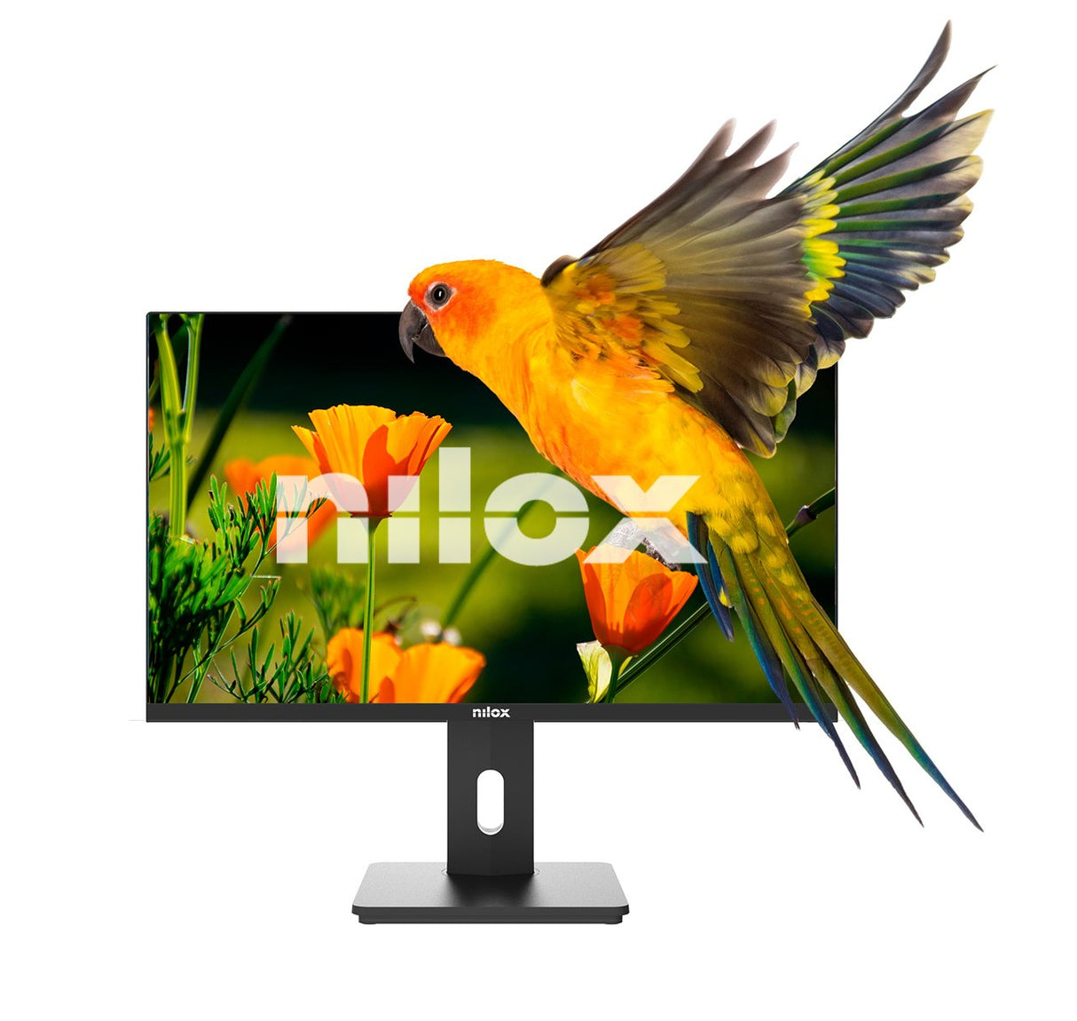 Nilox Monitor Desktop Va Led 24" Fhd, Hdmi, Dp Y Vga 1920x1080 75hz 16:9