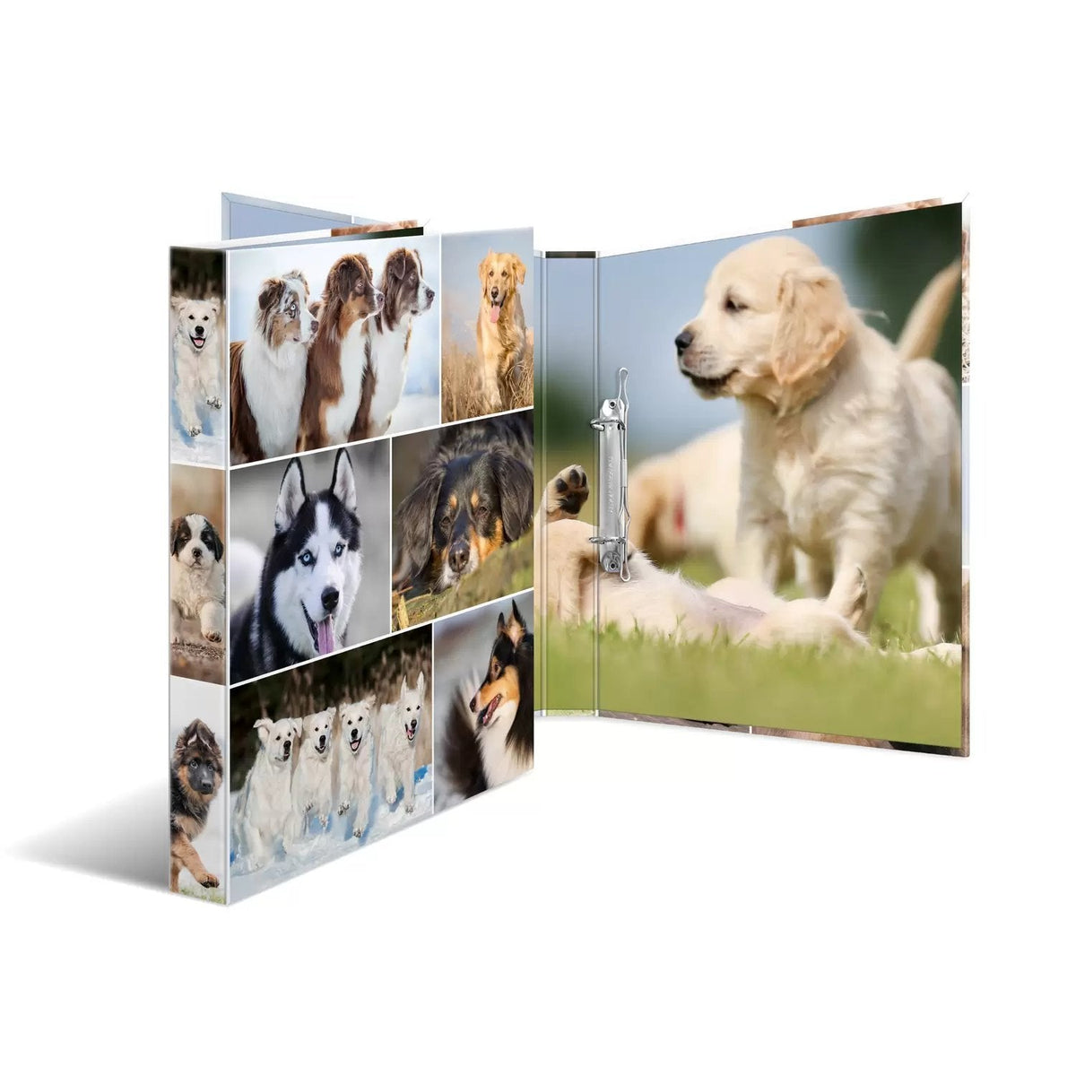 Carpeta De Anillas A4 Hunde 2d