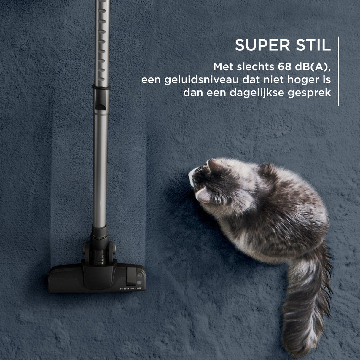 Aspiradora Rowenta Green Force Cyclonic Effitech Ro7c36 Negro/Gris Ro7c36