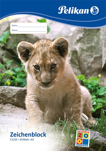 Bloc De Dibujo Pelikan A3 20 Hojas C3 / 20 Fsc Mix
