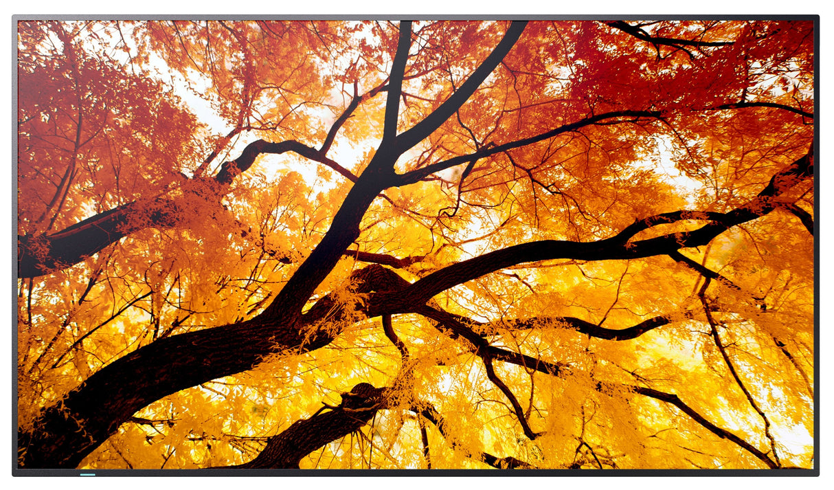 Sharp Multisync M552 Pantalla Plana Para Señalización Digital 139,7 Cm (55") Lcd 550 Cd / M² 4k Ultra Hd Negro Pantalla Táctil