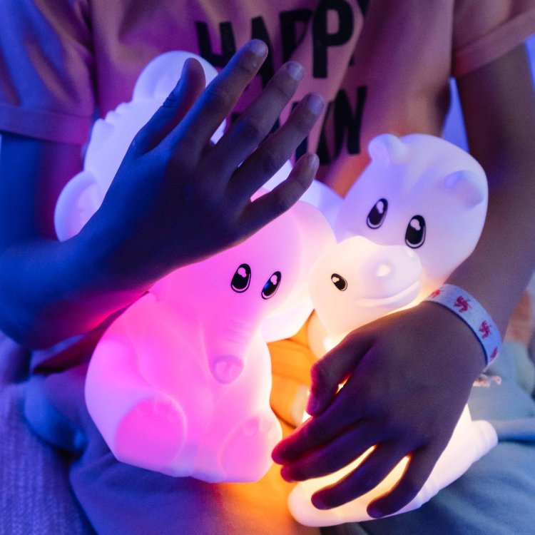 EAN 5430001702859 - KIDYWOLF Koala luz nocturna para bebés Independiente Blanco LED imagen 3