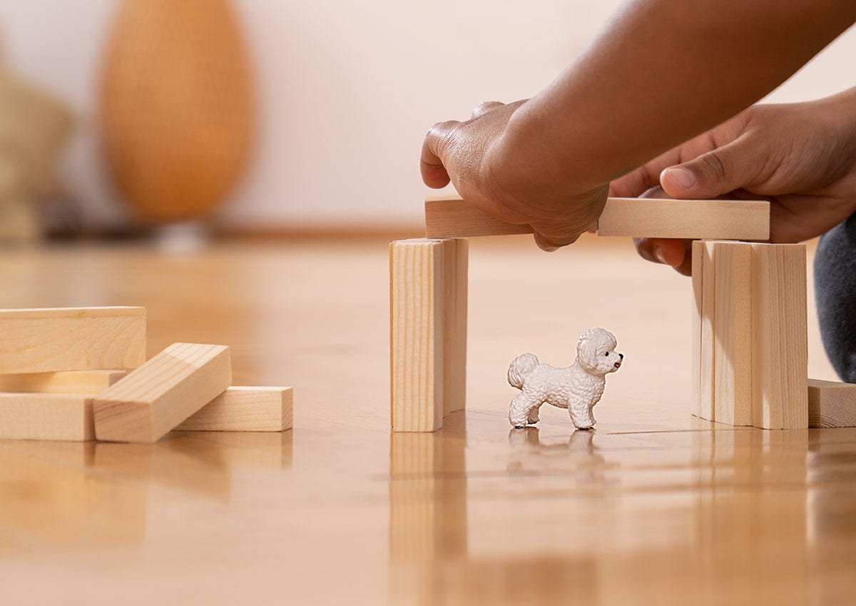 Figura Schleich Farm World Bichon Frise, 13963