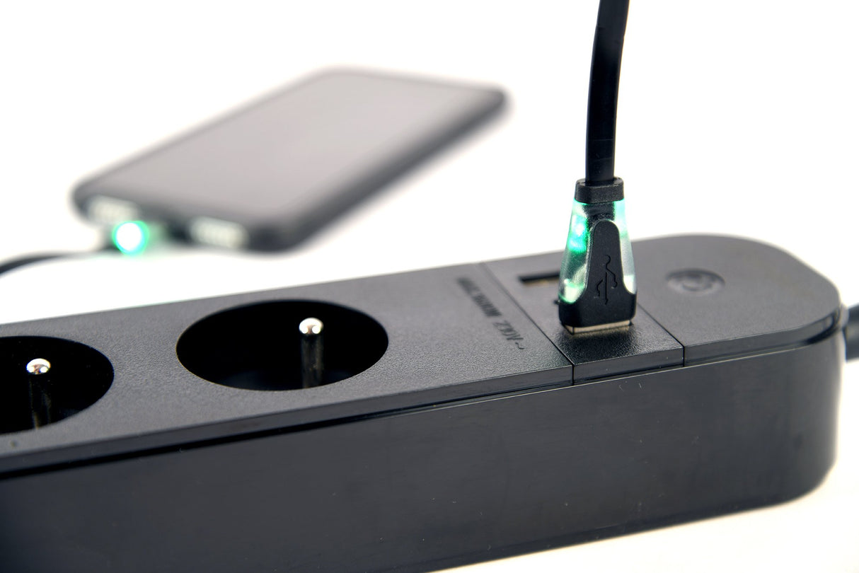 EAN 8716309128490 - Gembird TSL-PS-F4U-01 regleta inteligente 4 salidas AC Tipo F 1,5 m 3 3680 W Negro imagen 4