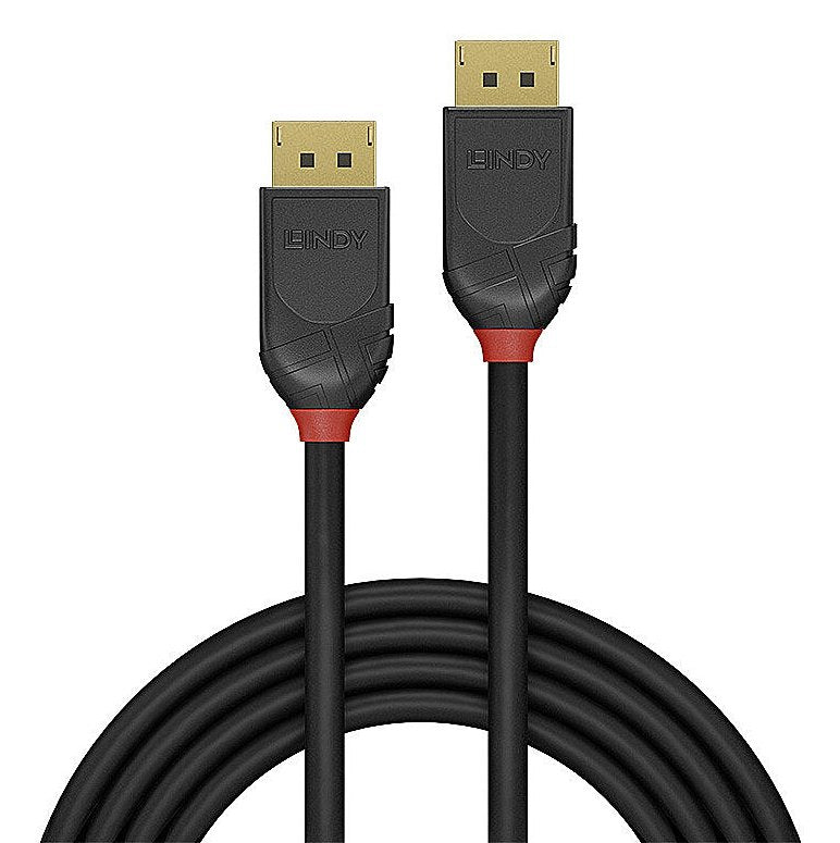 Cable 1m Displayport 2.1 54g Black Line