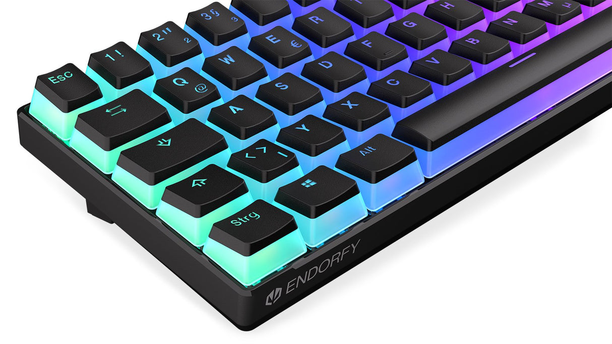 EAN 5903018666884 - ENDORFY Thock Compact teclado Juego RF inalámbrica + USB QWERTZ Alemán Negro imagen 11