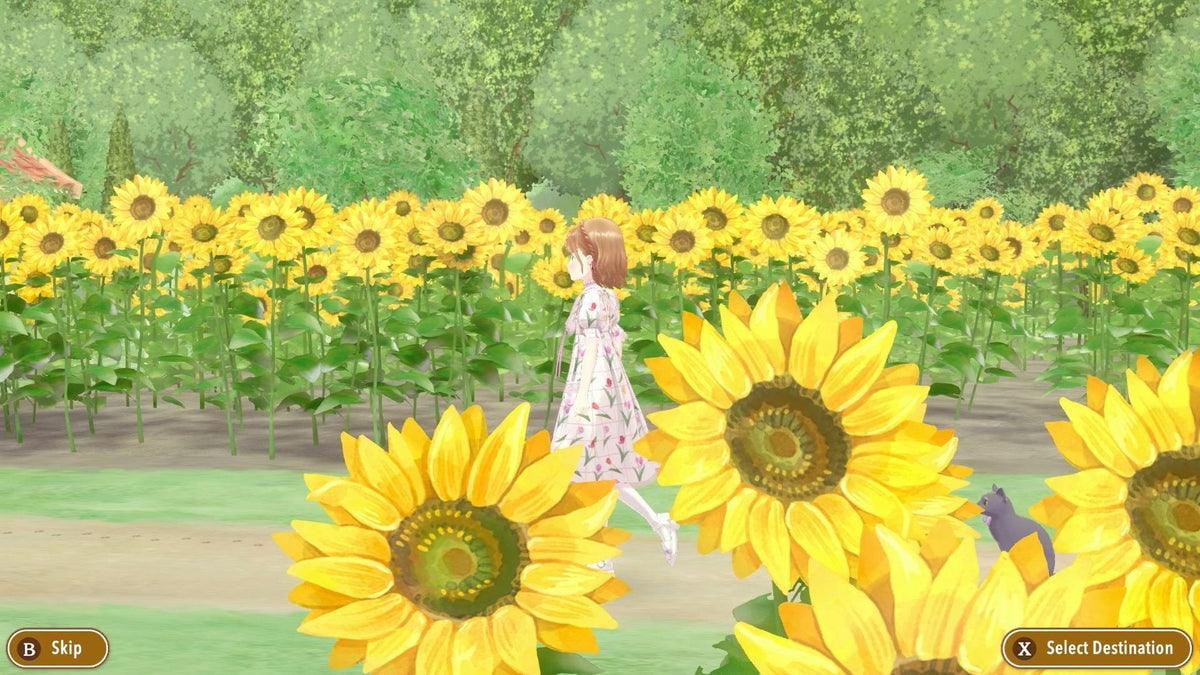 Juego Magical Craft: My Enchanted Dress Shop- Swi Switch