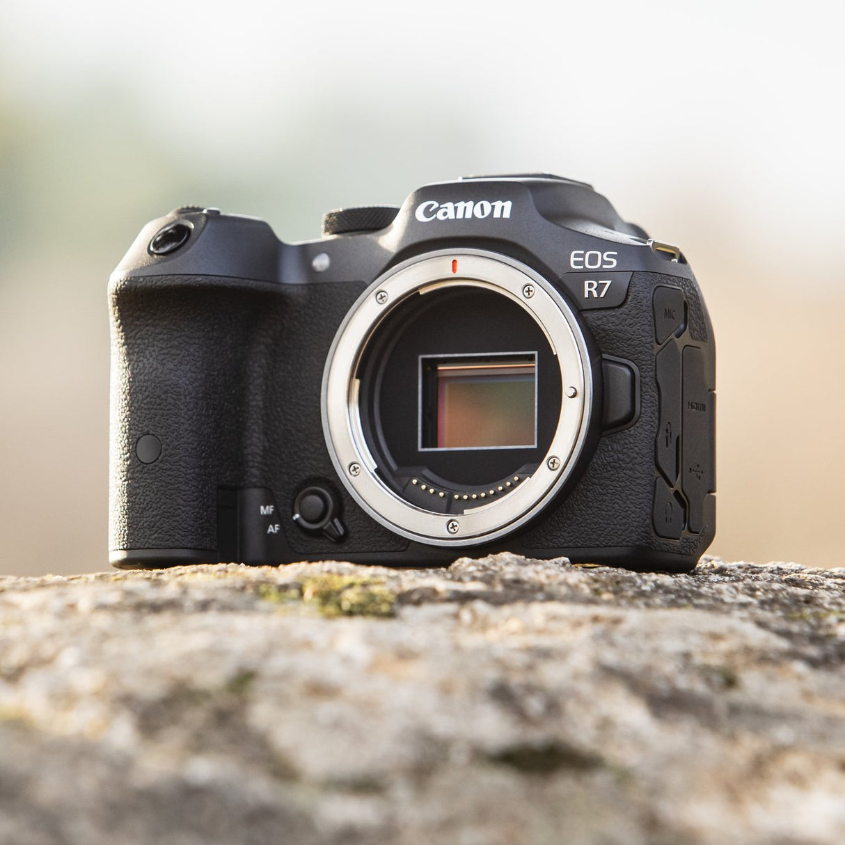 EAN 4549292185447 - Canon EOS R7 Cuerpo MILC 32,5 MP CMOS 6960 x 4640 Pixeles Negro imagen 7