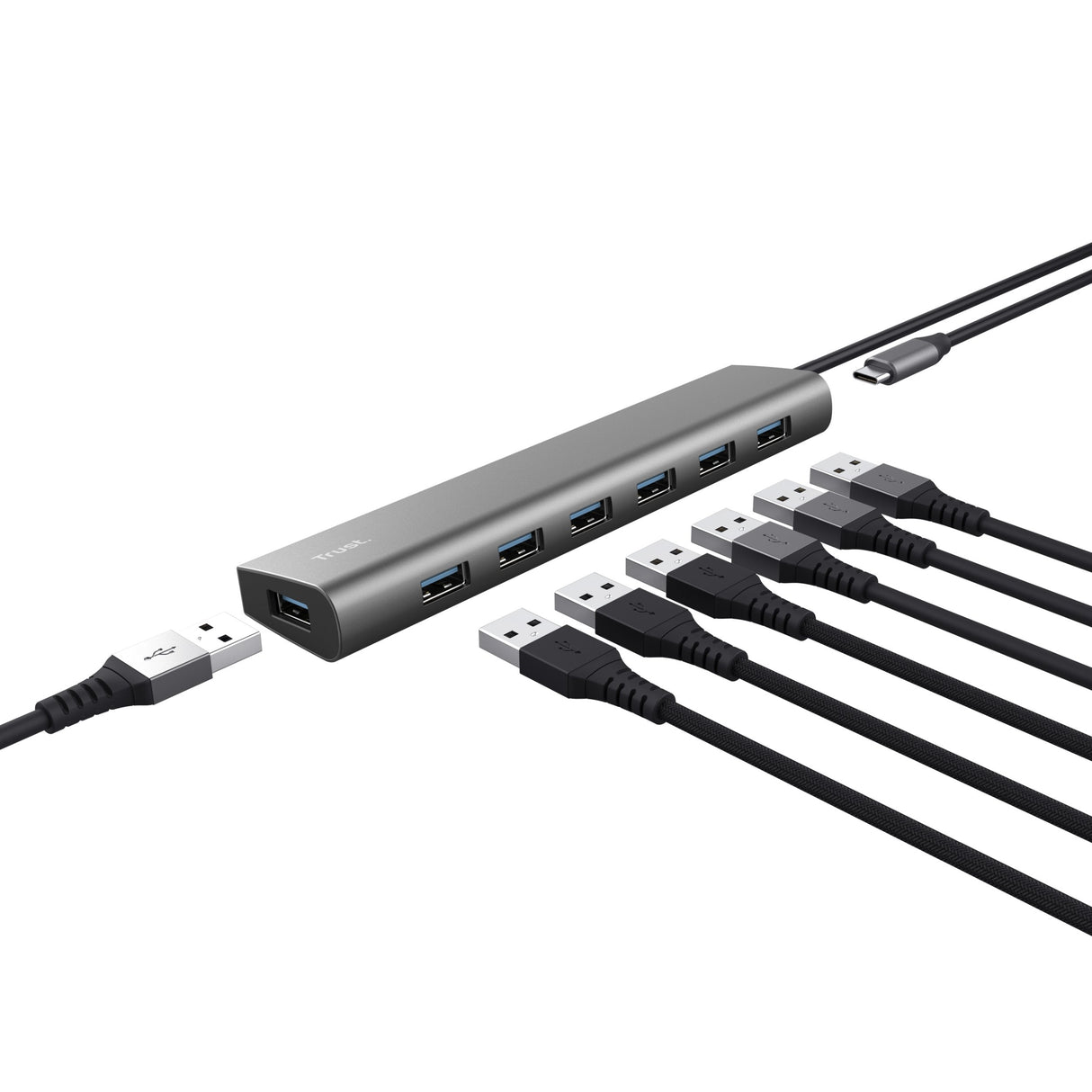 EAN 8713439249675 - Trust Halyx USB 3.2 Gen 1 (3.1 Gen 1) Type-A 5000 Mbit/s Plata imagen 3