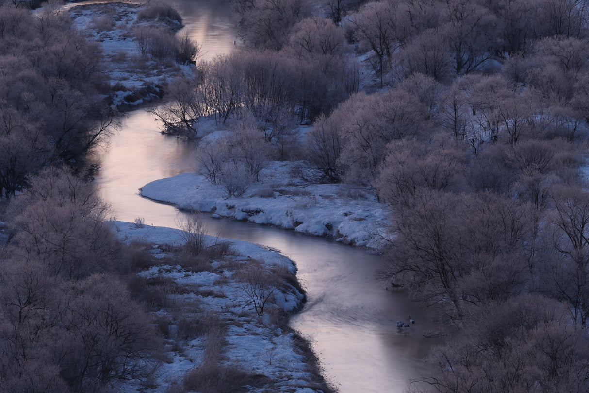 EAN 4549292185553 - Canon EOS R7 + RF-S 18-150mm IS STM MILC 32,5 MP CMOS 6960 x 4640 Pixeles Negro imagen 9