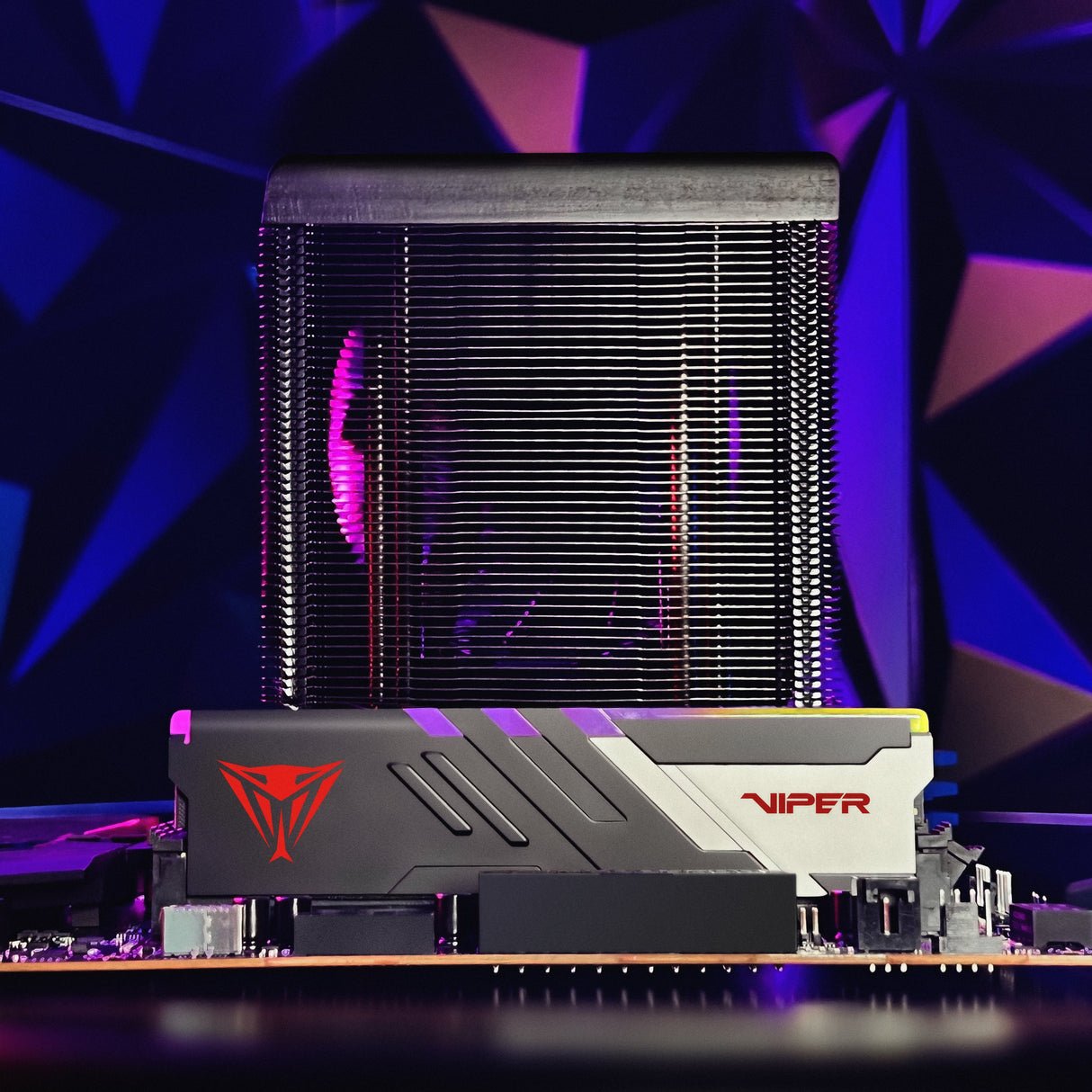 EAN 0814914029602 - Patriot Memory Viper Venom PVVR532G620C40K módulo de memoria 32 GB 2 x 16 GB DDR5 288-pin DIMM imagen 29